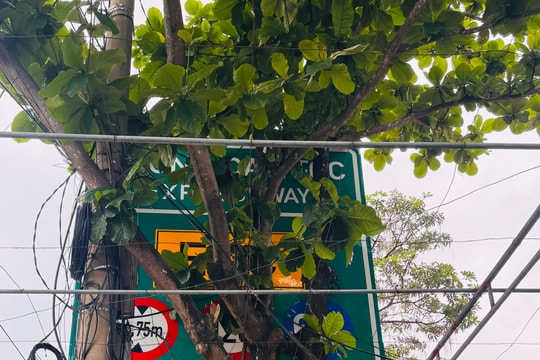 Biển báo cấm bị che khuất