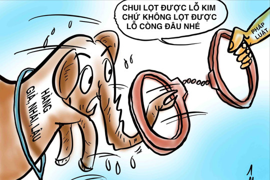 Đừng để hàng giả như 'con voi chui lọt lỗ kim'