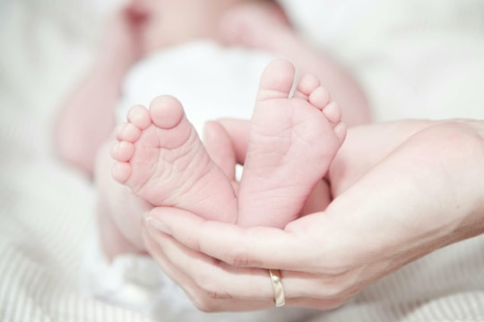 Mỗi người cần sinh bao nhiêu con để nhân loại không tuyệt chủng?