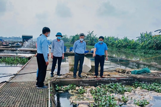 Warning of adverse weather factors for aquaculture