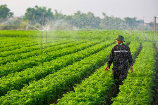 Cam Giang leads the province in the number of communes meeting model new rural standards.