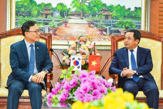Bí thư Tỉnh ủy Trần Đức Thắng tiếp Đại sứ Hàn Quốc tại Việt Nam