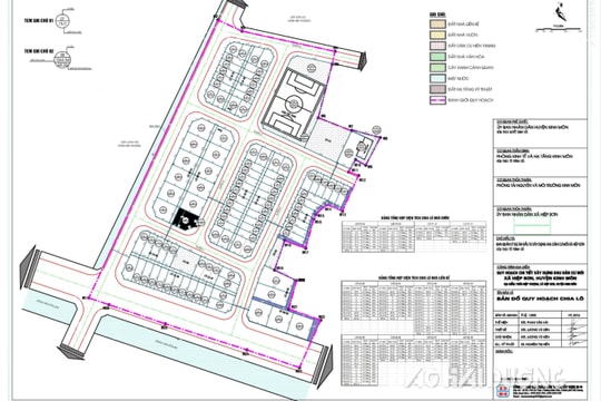 Giá khởi điểm 61 lô đất ở thị xã Kinh Môn cao nhất 16 triệu đồng/m²
