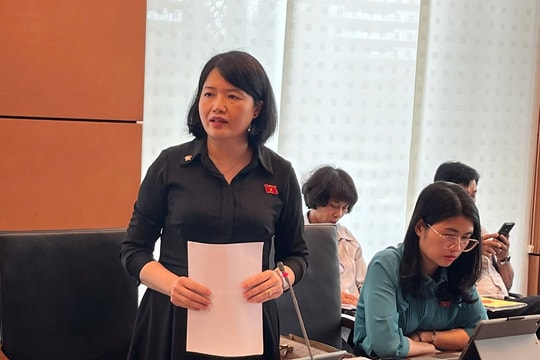 Đề nghị bổ sung các giải pháp khắc phục tình trạng thanh tra chồng chéo, trùng lặp, không cần thiết