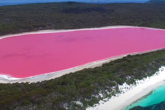 Beautiful Pink Lake, Non-Toxic But No Visitors