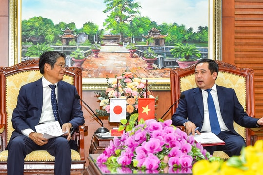 Hai Duong Party chief receives Japanese ambassador