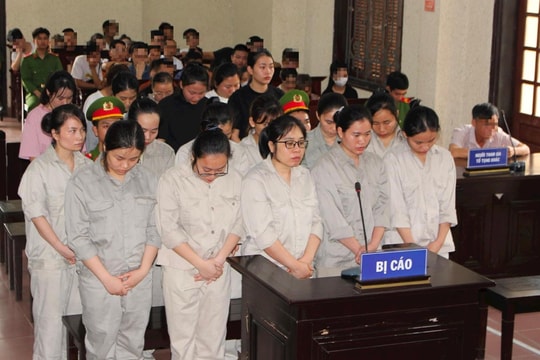 Group of 18 female monsters sentenced for loan fraud, winning Honda SH motorbike