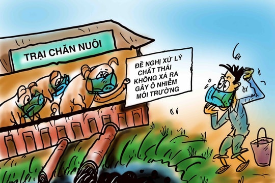 Trang trại chăn nuôi gây ô nhiễm