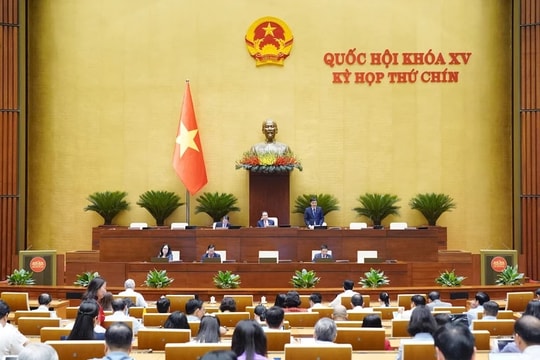 Today, the National Assembly gave opinions on the Law on Advertising, Planning, and Energy Use.