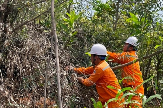 Nỗi lo đường điện băng rừng