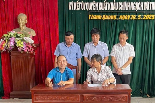 Ký kết ủy quyền xuất khẩu chính ngạch hơn 1.160 tấn vải thiều Thanh Hà