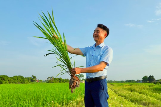 Kinh Môn, Nam Sách không có ruộng hoang