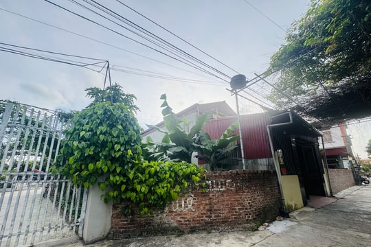 San lấp ao, xây nhà trái phép, một người ở Gia Lộc bị phạt 29 triệu đồng