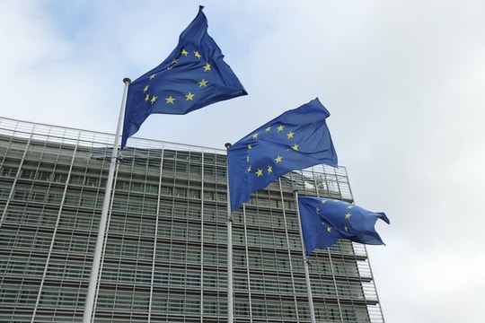 Ấn Độ và Pakistan 'cầu viện' EU để giải quyết xung đột