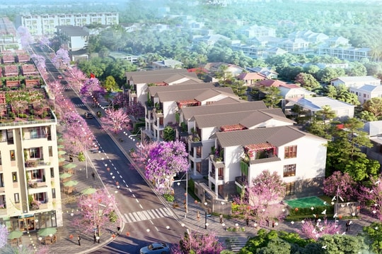 Nhà đầu tư Hải Dương ‘săn’ bất động sản liền kề tại TP Đông Triều