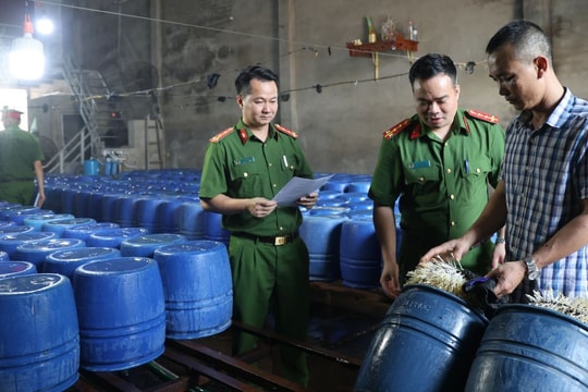 Khởi tố chủ cơ sở sản xuất 60 tấn giá đỗ 'ngậm' chất kích thích tăng trưởng ở Bắc Giang