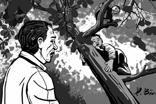 Bác bảo vệ đáng kính