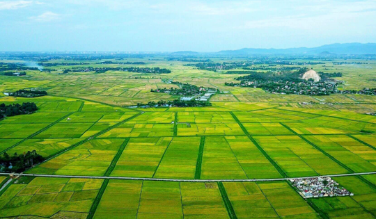 Các địa phương dừng kiểm kê đất đai đến khi hoàn thành sáp nhập