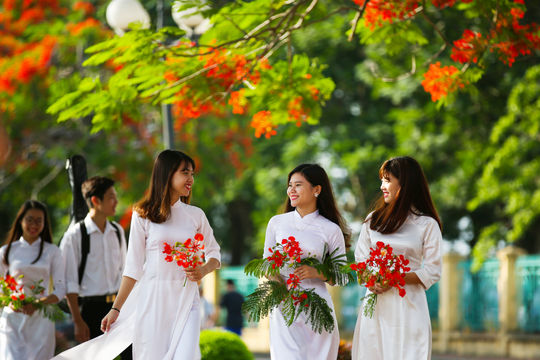 Những điểm check-in đẹp ở TP Hải Phòng