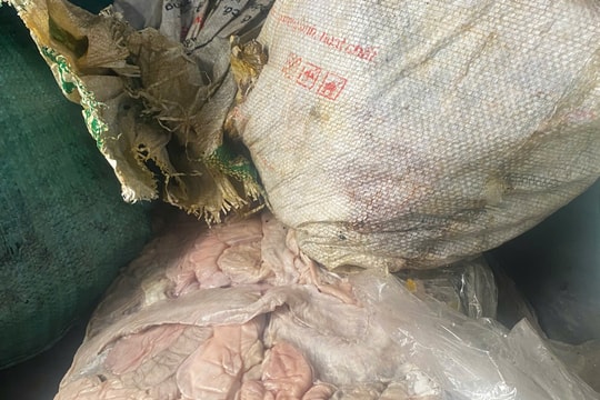Phát hiện 1,3 tấn lòng lợn, mỡ lợn bốc mùi hôi thối trong một doanh nghiệp ở Bình Giang