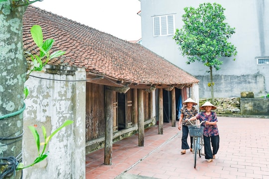 Những ngôi nhà cổ giữa lòng thị trấn Cẩm Giang