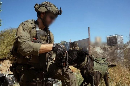 Israel điều động toàn bộ các lữ đoàn bộ binh và thiết giáp tới Gaza