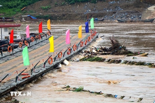 Tạm đóng cầu phao Phong Châu do nước sông Hồng lên cao, chảy siết