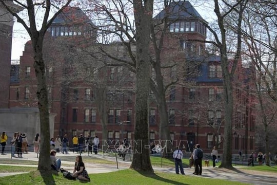 Châu Âu và châu Á tìm cách kéo nhân tài từ Mỹ khi Harvard bị cấm tuyển sinh viên quốc tế