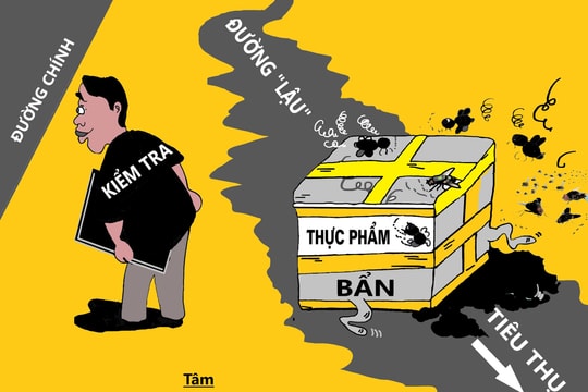 Đường đi của thực phẩm bẩn