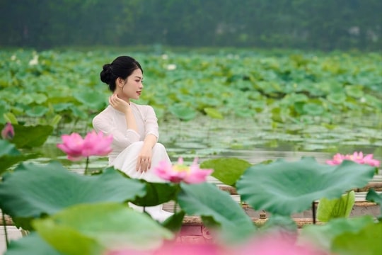 Người mẫu nghiệp dư: Đam mê sinh lợi