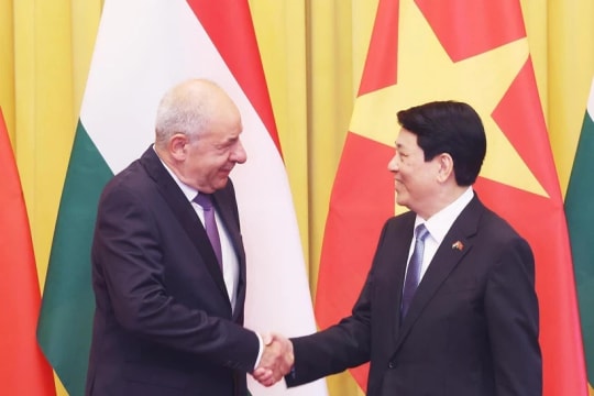 Vietnam treasures ties with Hungary: State President