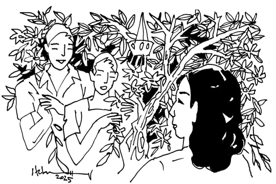 Phi điệp nở hoa