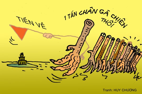 Chân gà bẩn tuồn vào quán ăn