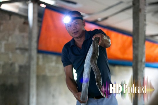 Nghe người dân ngôi làng nhiều người từng bị rắn cắn ở Hải Dương kể cách xử trí