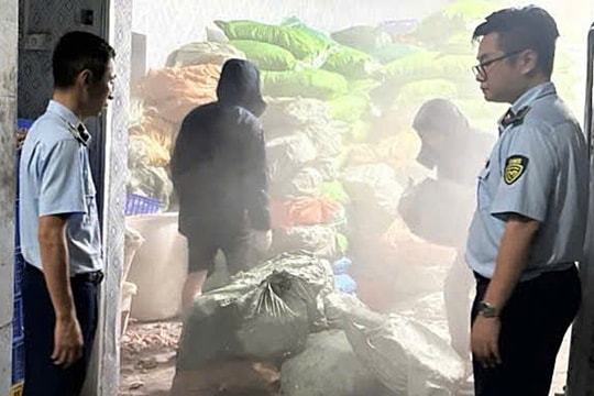 Phát hiện hơn 12 tấn chân gà bốc mùi trong kho đông lạnh ở Cẩm Phả