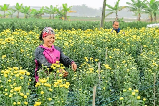Tứ Kỳ chuyển biến trong thực hiện công việc đột phá