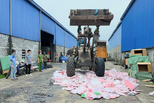 Quảng Ninh tiêu hủy gần 2.000 gấu bông Baby Three chứa chất độc hại