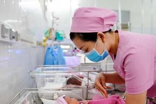 Không lo vi phạm