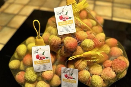 First batch of 2025 Thanh Ha lychees reaches Paris