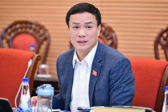 Quảng cáo sai sự thật, người nổi tiếng sẽ không thể đứng ngoài pháp luật