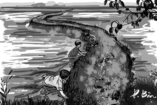 Kỳ nghỉ hè háo hức