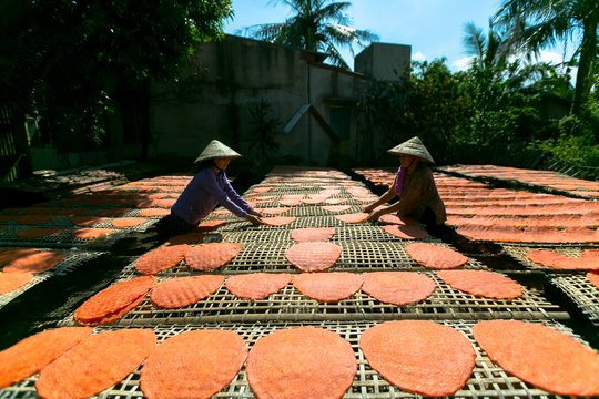 Ke Sat Gac Rice Cracker Production Bustles During Tet Season