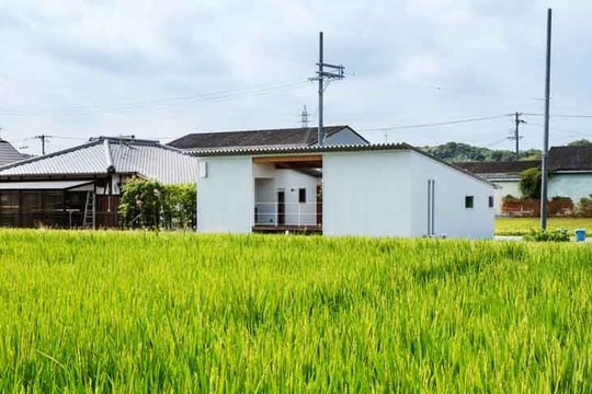 Diện tích công trình phục vụ sản xuất nông nghiệp xây trên đất trồng lúa tối đa 1.000 m2