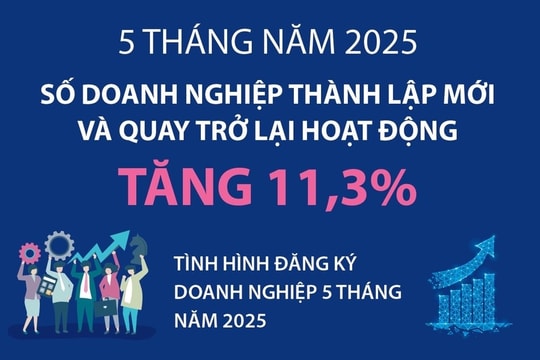 Số doanh nghiệp thành lập mới và quay trở lại hoạt động tăng 11,3%