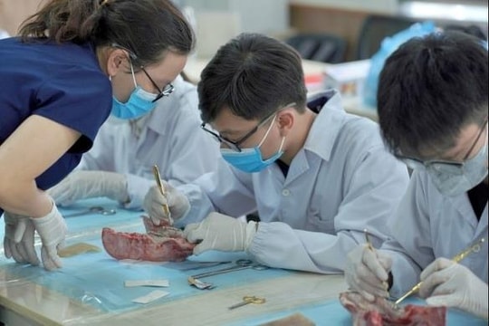 Trường Đại học Y Dược, Đại học Quốc gia Hà Nội lần đầu xét tổ hợp có tiếng Anh