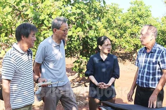 Gặp những người Hải Dương xa quê