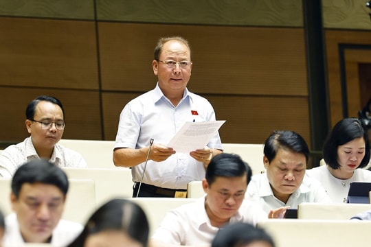 Cơ chế, chính sách đặc thù cho Hải Phòng để phát huy tối đa tiềm năng kinh tế