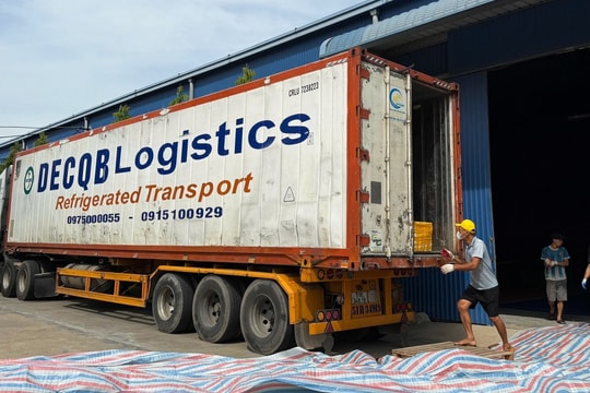 Cảnh sát kiểm tra xe container, phát hiện sự thật về 20 tấn hàng nội tạng