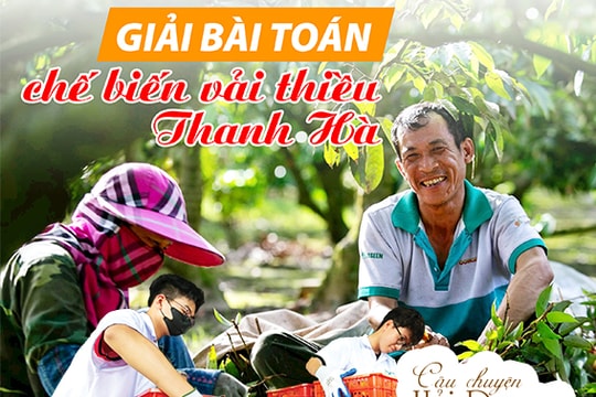 Giải bài toán chế biến vải thiều Thanh Hà