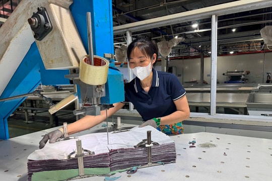 Đầu tư xây dựng nhà máy sản xuất bao bì từ nhựa nguyên sinh